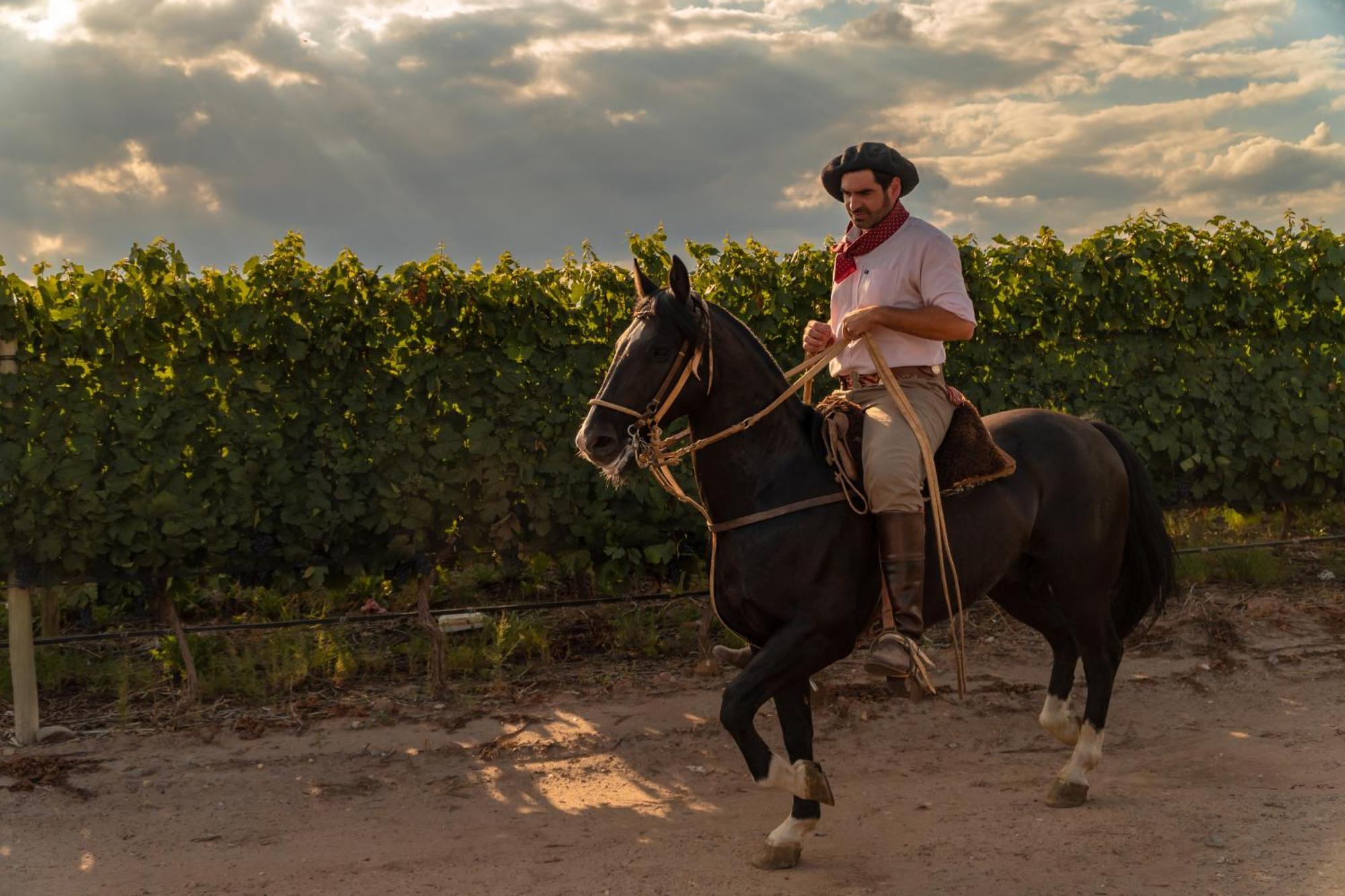 Rosell Boher Winery Lodge & Spa Agrelo 외부 사진