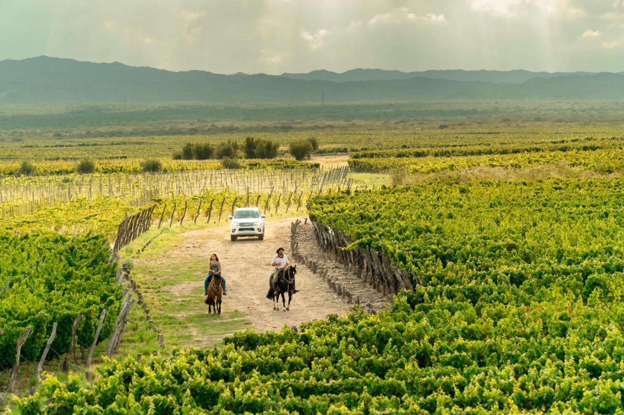Rosell Boher Winery Lodge & Spa Agrelo 외부 사진