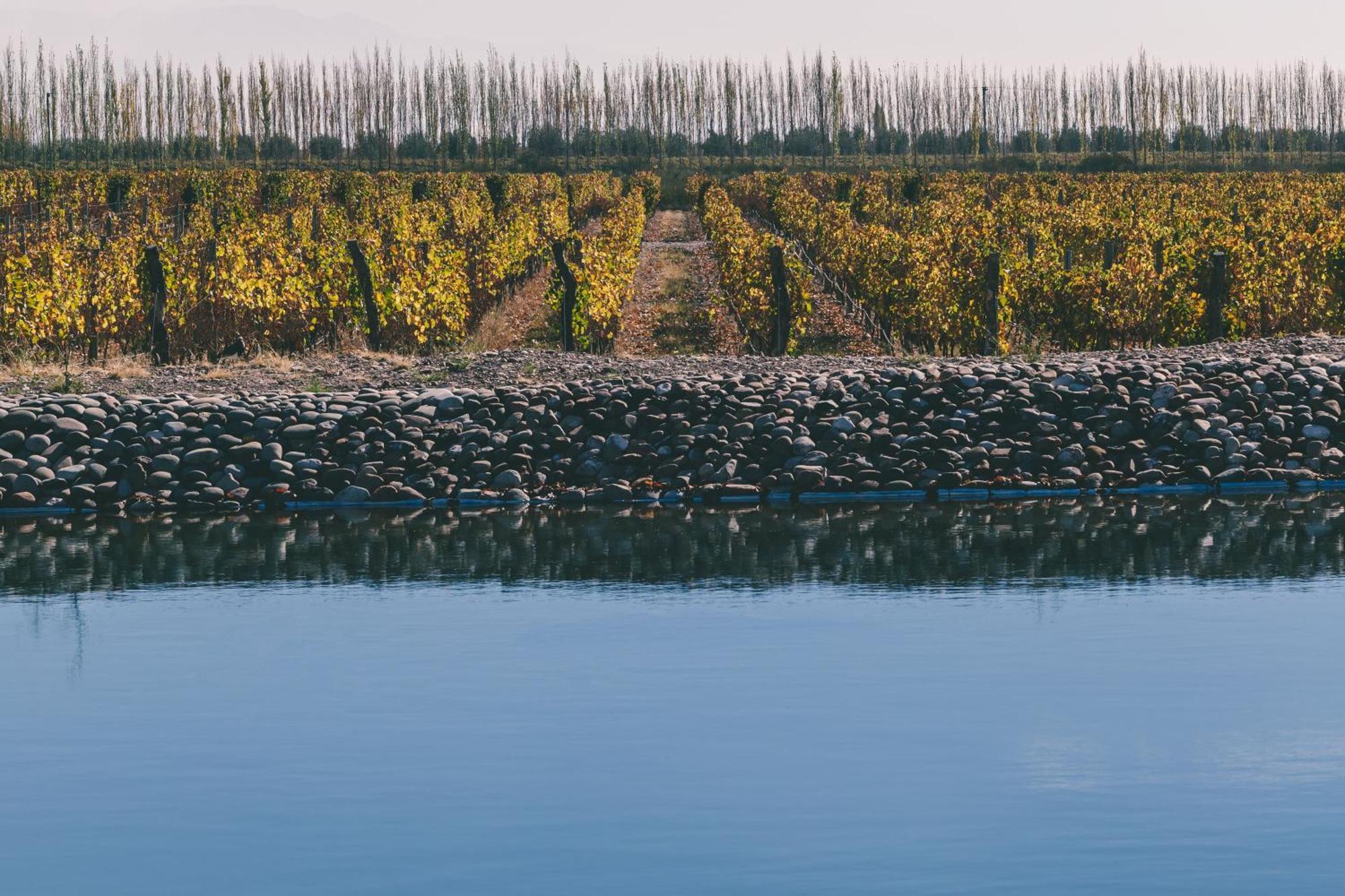Rosell Boher Winery Lodge & Spa Agrelo 외부 사진
