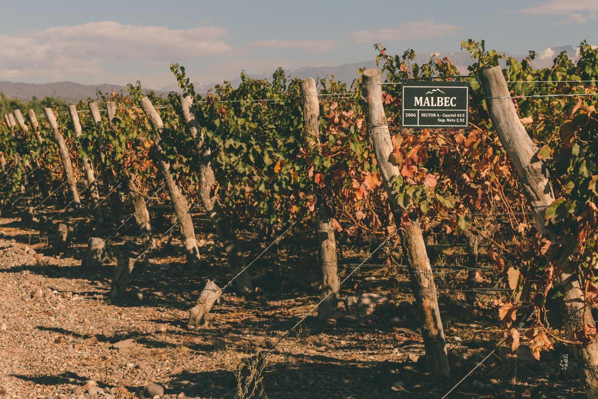 Rosell Boher Winery Lodge & Spa Agrelo 외부 사진