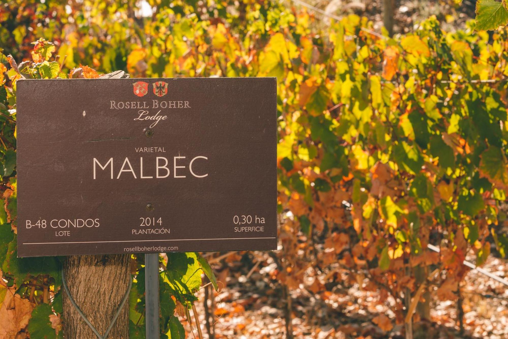 Rosell Boher Winery Lodge & Spa Agrelo 외부 사진