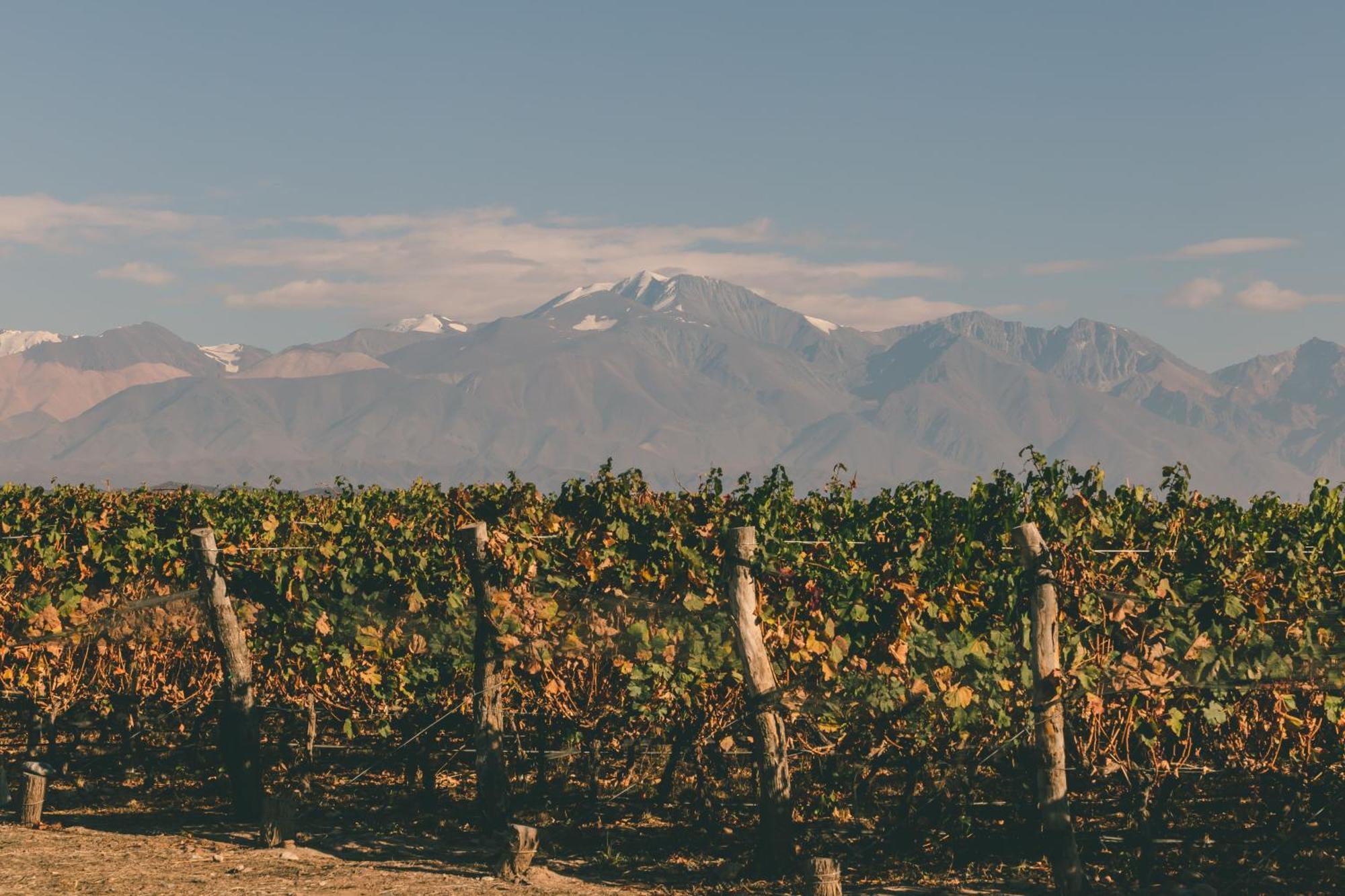 Rosell Boher Winery Lodge & Spa Agrelo 외부 사진